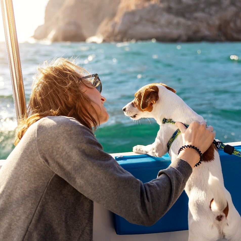 Person and dog sharing a loving moment on a boat at sunset.